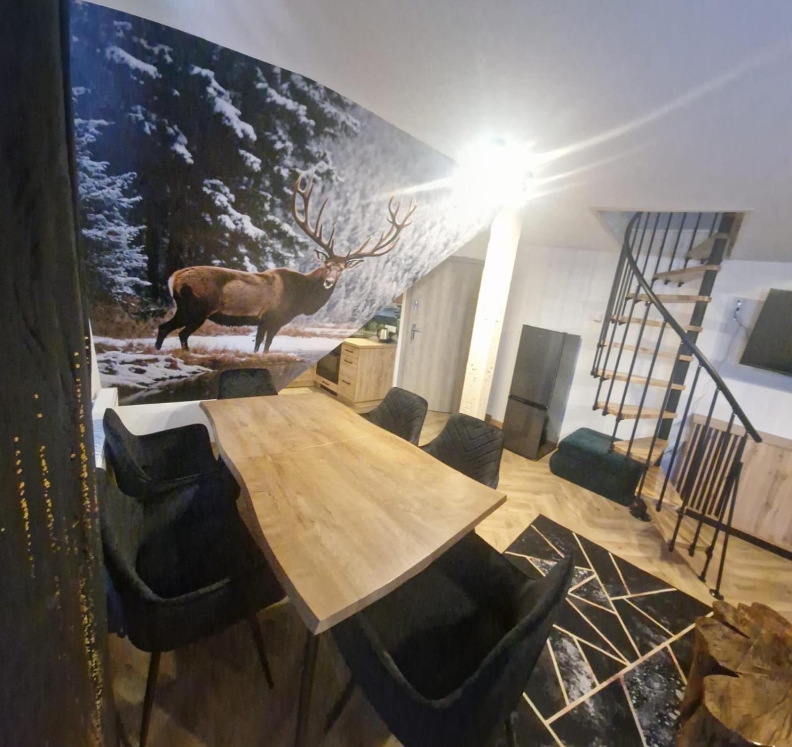 Studia I Apartamenty Wierchy Zakopane Exterior photo